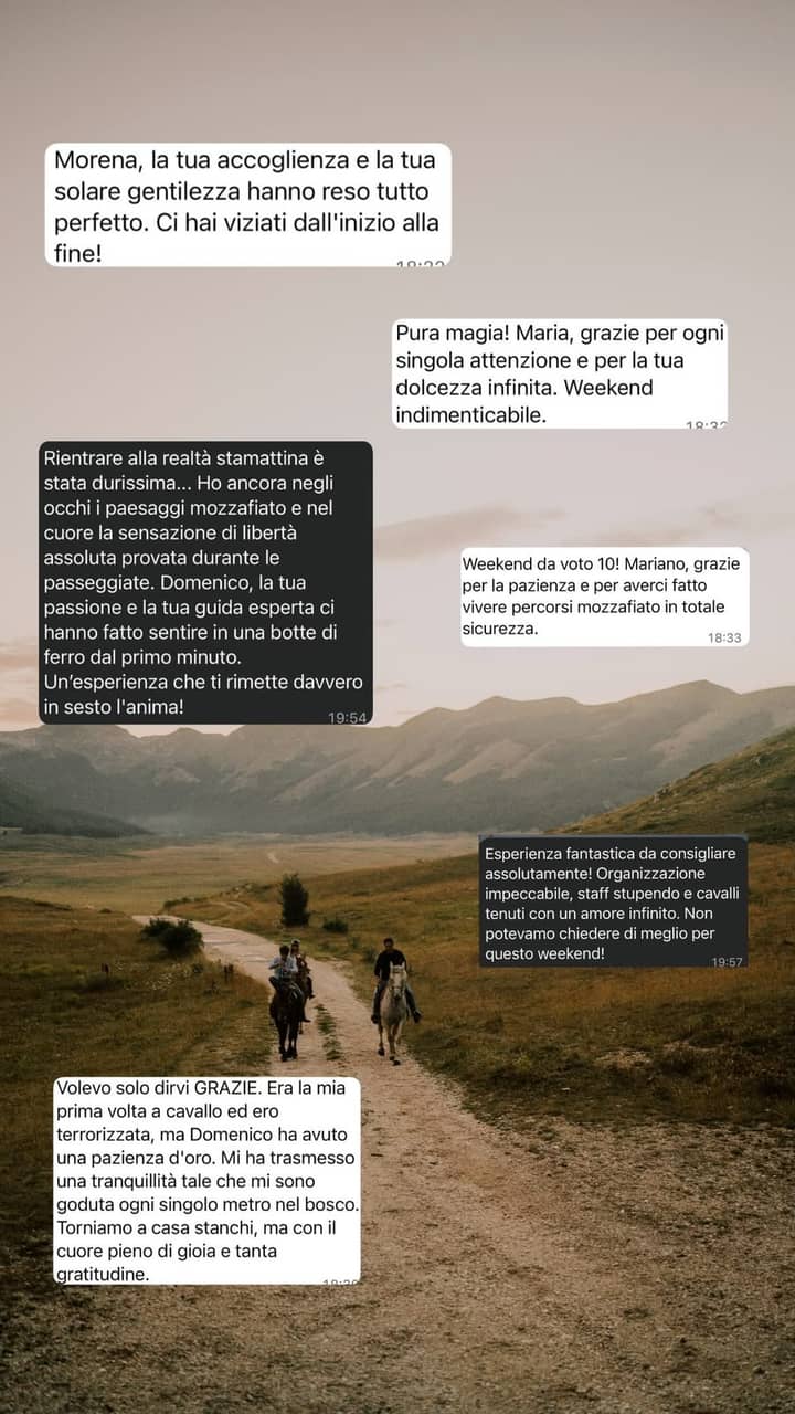 Recensione di un partecipante Run Wild — 5