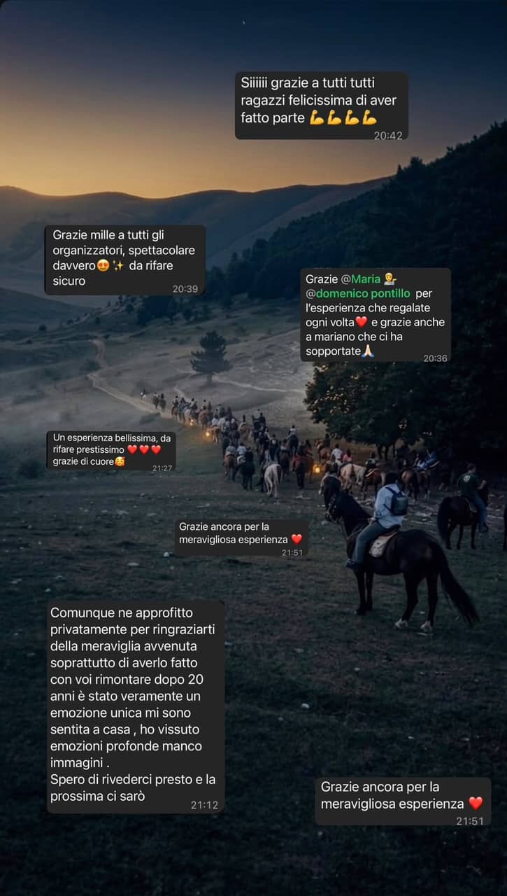 Recensione di un partecipante Run Wild — 6