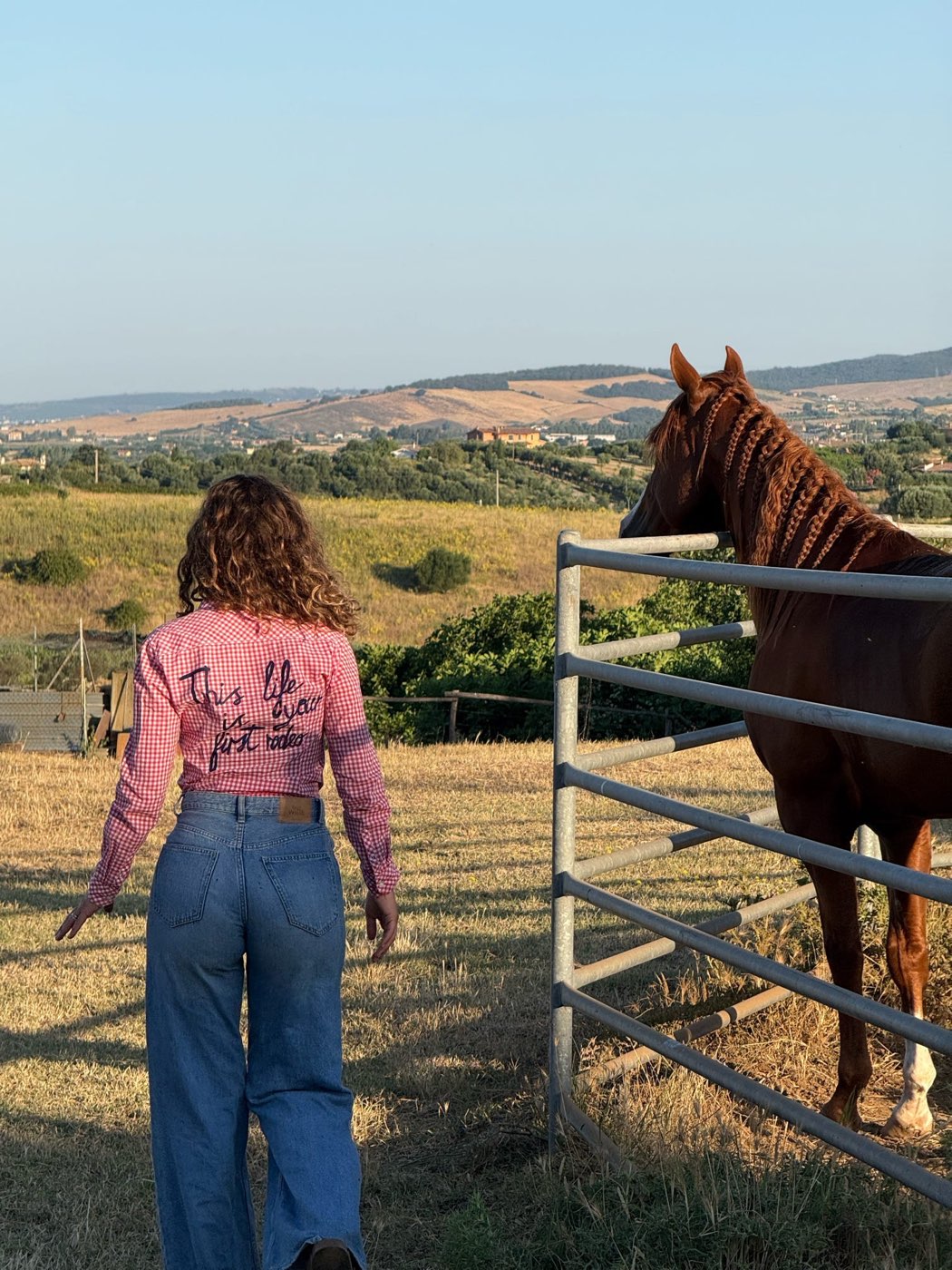 Cavaliere al lavoro con la mandria al pascolo — foto 1