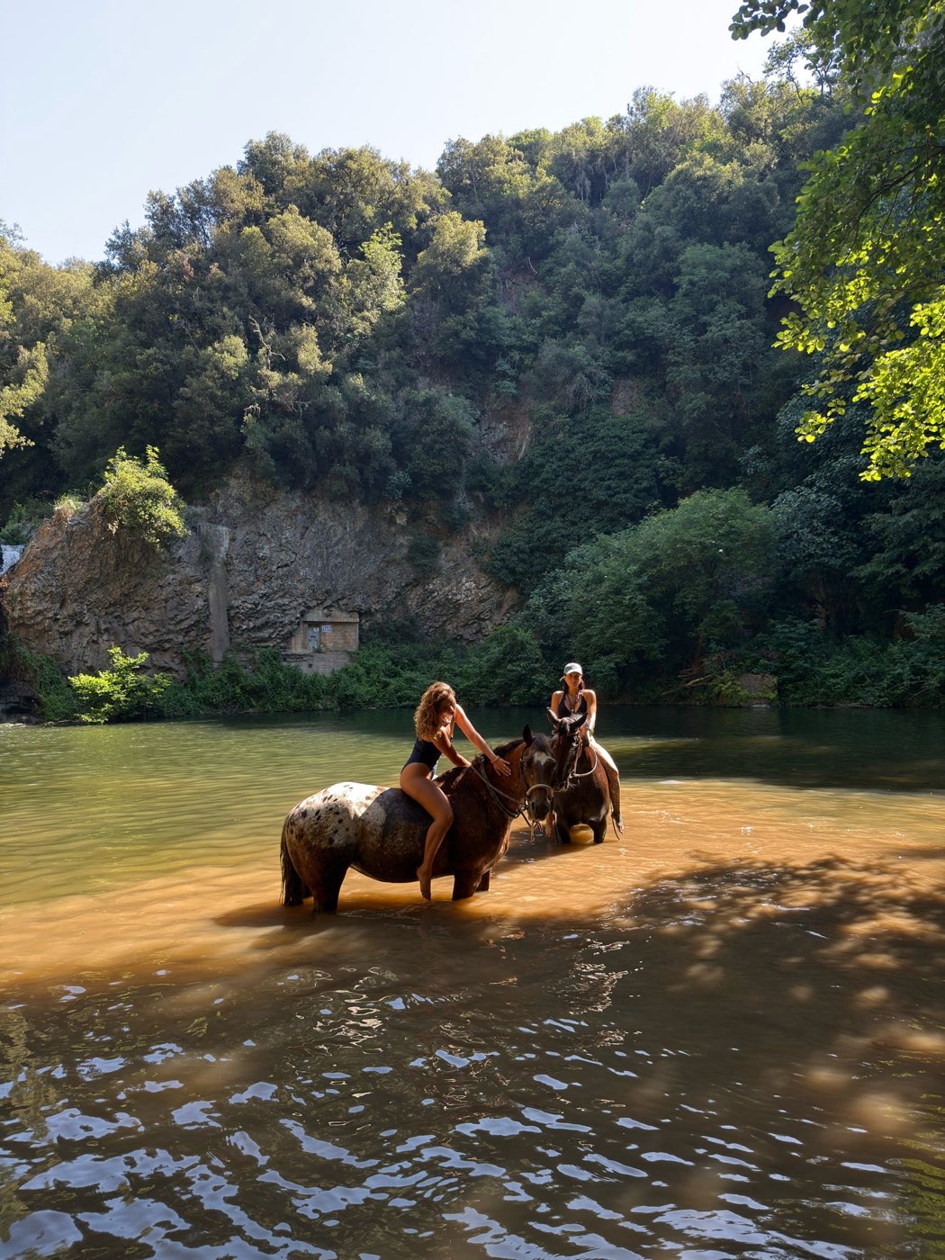Cavaliere al lavoro con la mandria al pascolo — foto 4