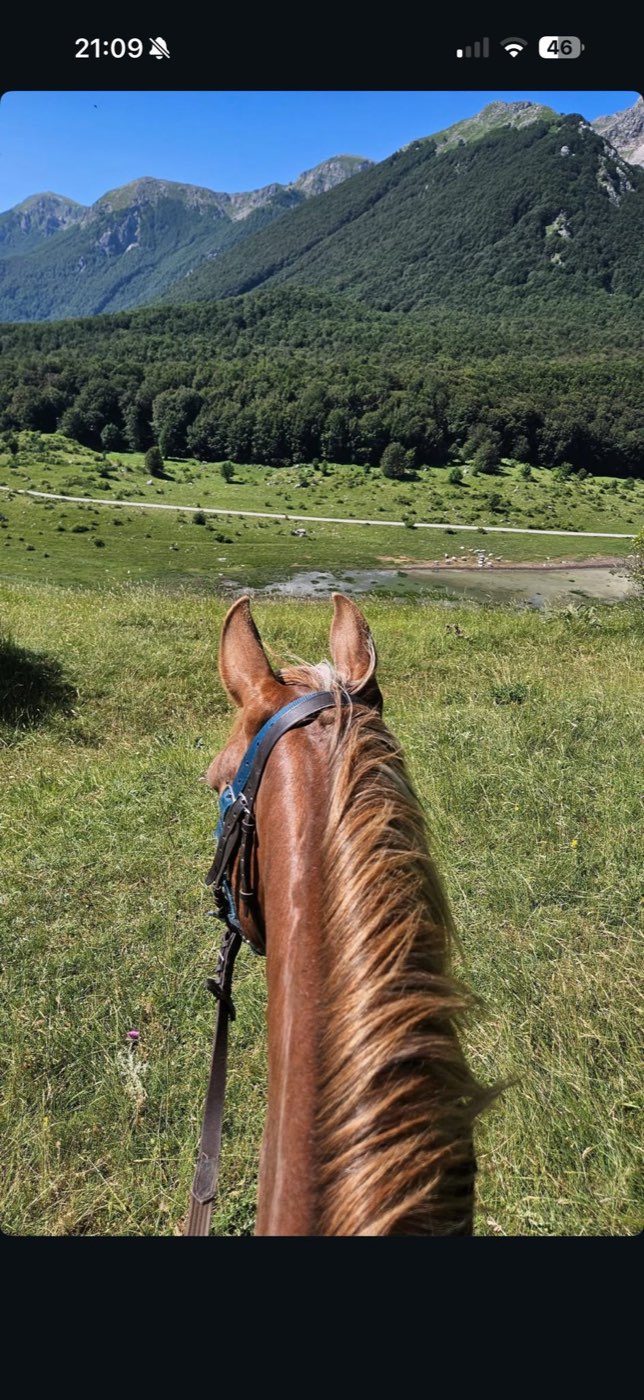Cavaliere al lavoro con la mandria al pascolo — foto 5