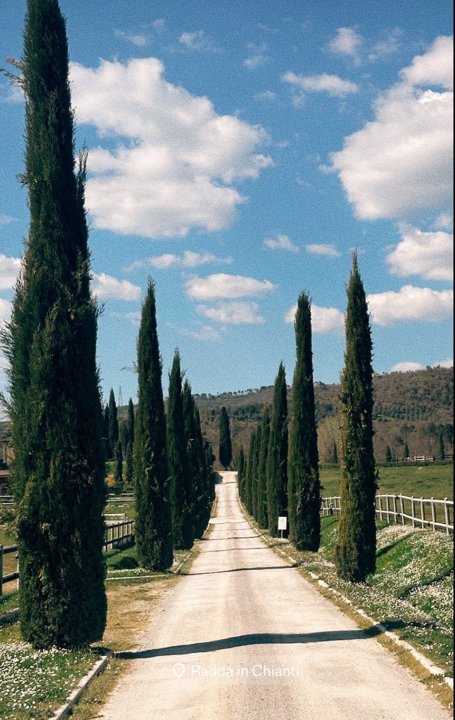 Cavaliere accanto al suo cavallo nel Chianti — foto 1