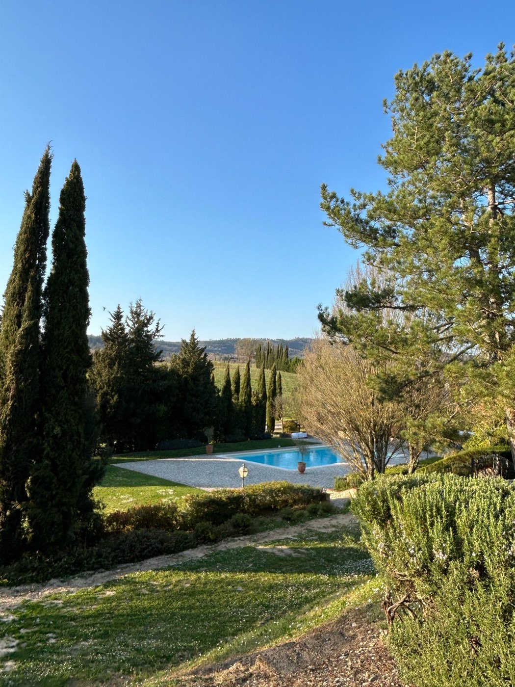 Cavaliere accanto al suo cavallo nel Chianti — foto 3