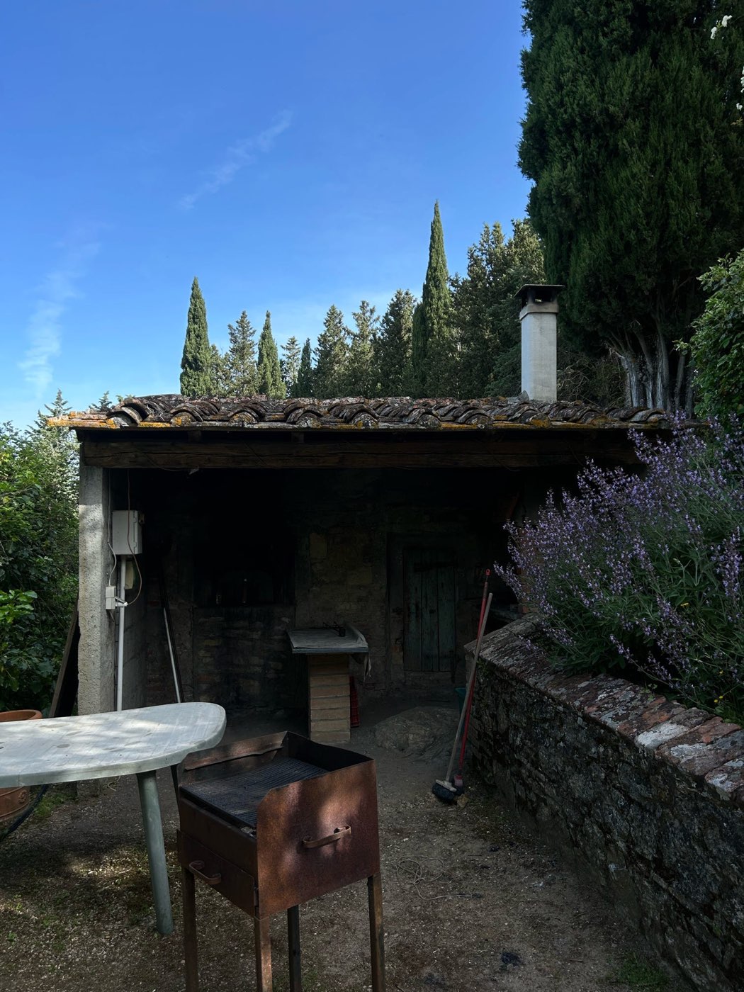 Cavaliere accanto al suo cavallo nel Chianti — foto 4