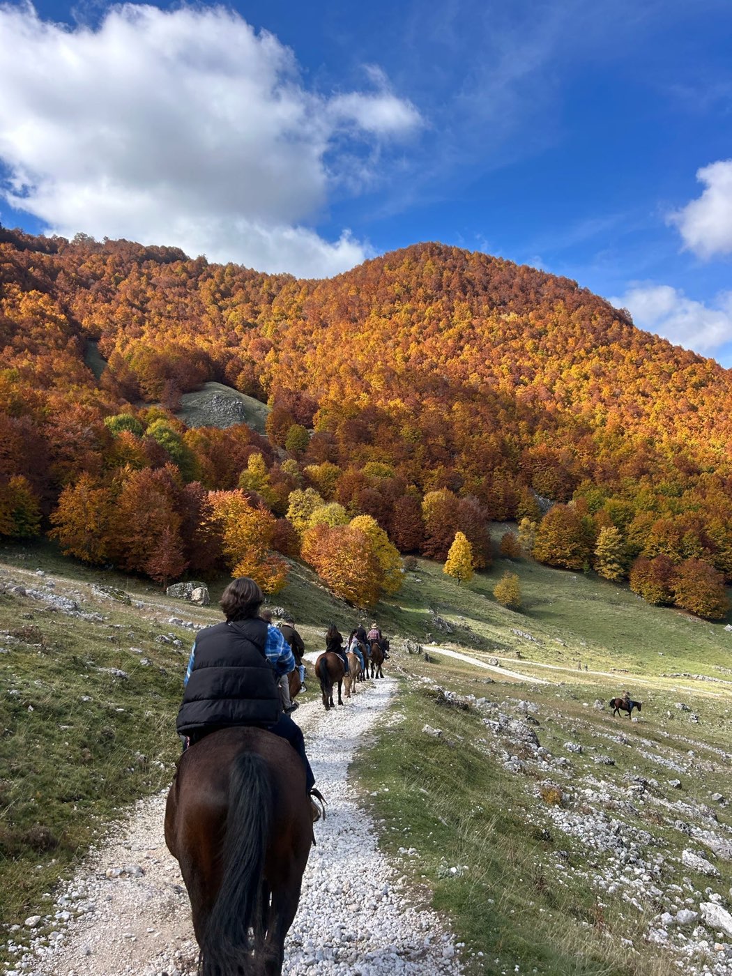 Gruppo di cavalieri riuniti al campo di Ovindoli — foto 3
