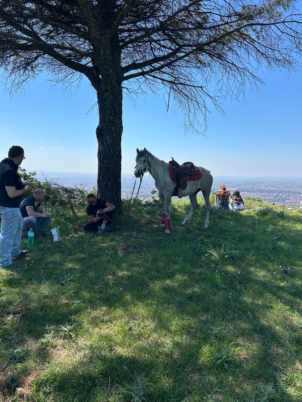 Approccio da terra con il cavallo sui Monti Tifatini — foto 1