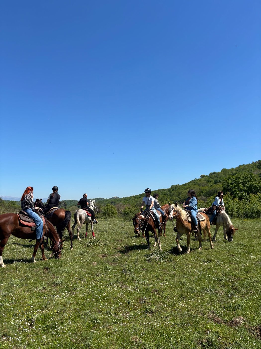Approccio da terra con il cavallo sui Monti Tifatini — foto 2