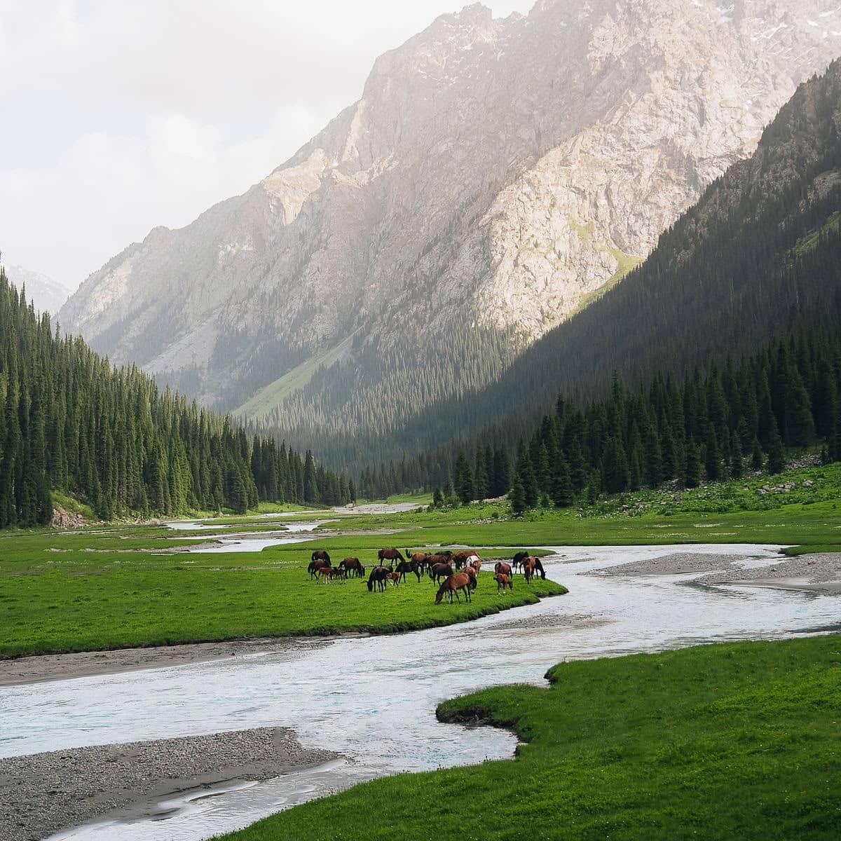 Cavalli, yurte e montagne del Tian Shan in Kirghizistan — foto 4