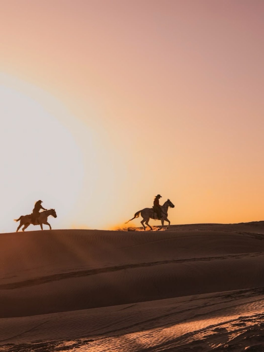 Trekking a cavallo sulle spiagge dell'Oceano Atlantico a Essaouira — foto 1