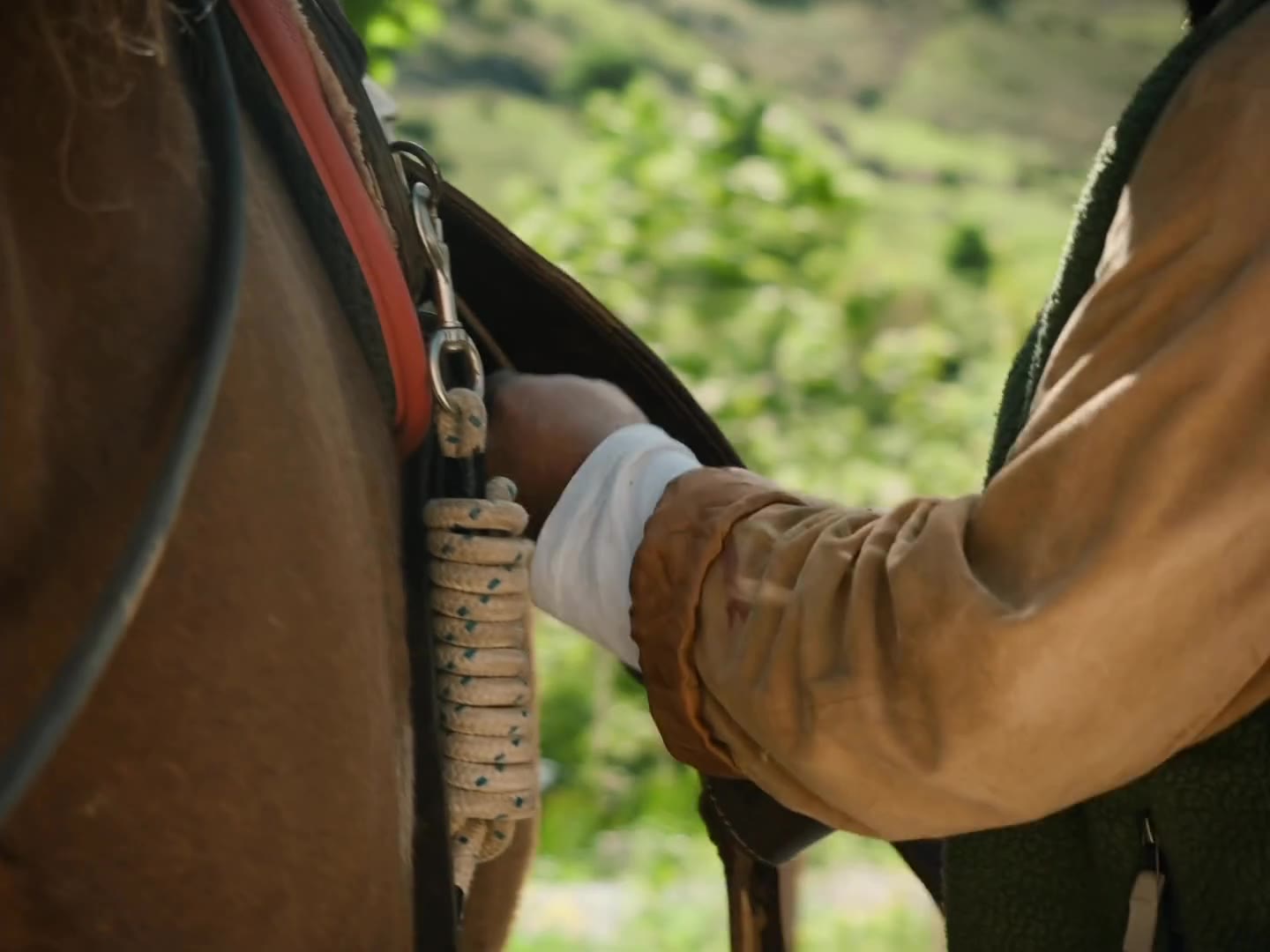 Cavallo al tramonto, immagine simbolo della gift card Run Wild