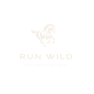 Run Wild logo