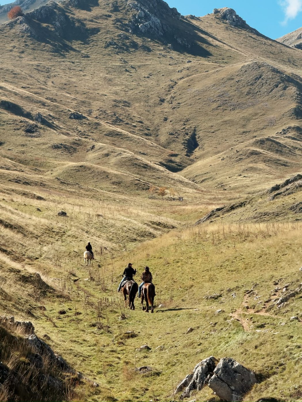 Gruppo di cavalieri nella valle