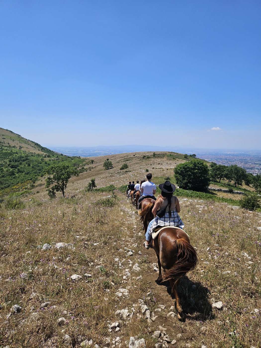 Fila di cavalieri sul crinale
