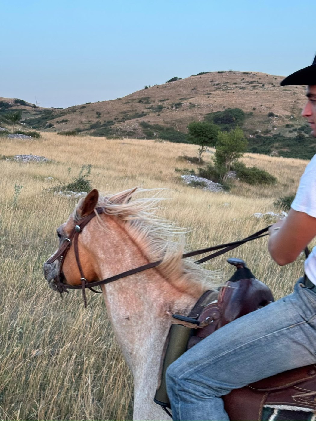 Cavaliere accanto al suo cavallo con la criniera al vento