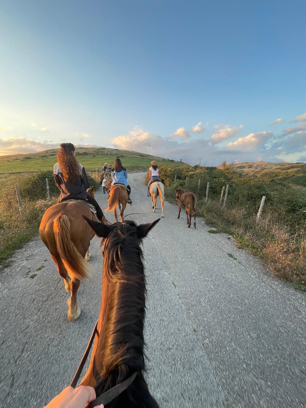 Cavalcata al tramonto con puledro