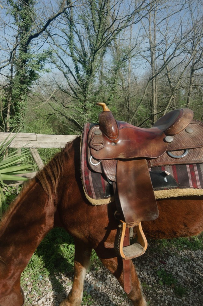 Dettaglio della sella western sul cavallo